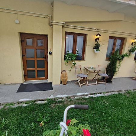 Central Garden Apartments Braşov Exterior foto